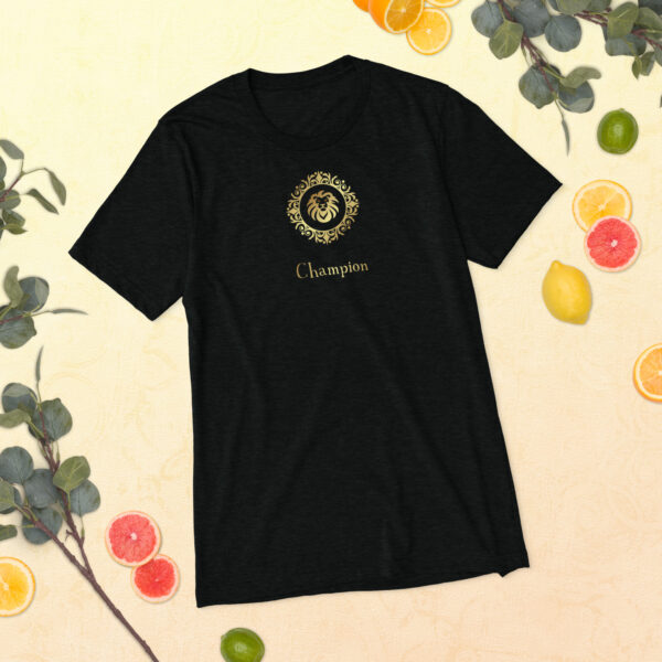 Short sleeve t-shirt champion